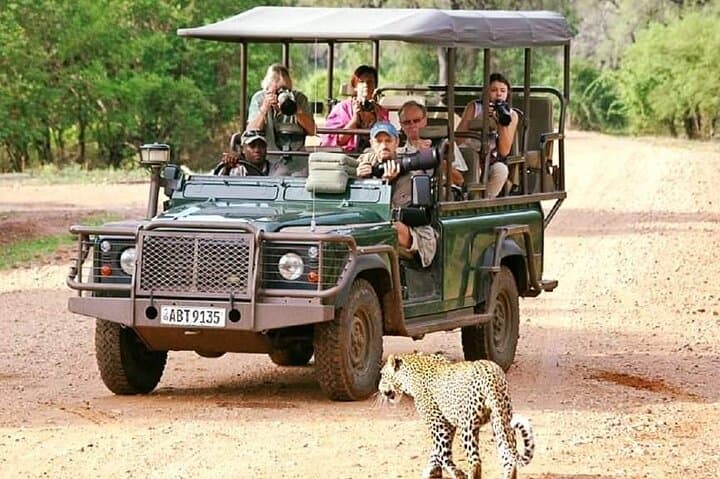 Chobe Day Trip: Game Drive and River Cruise from Kasane photo 6