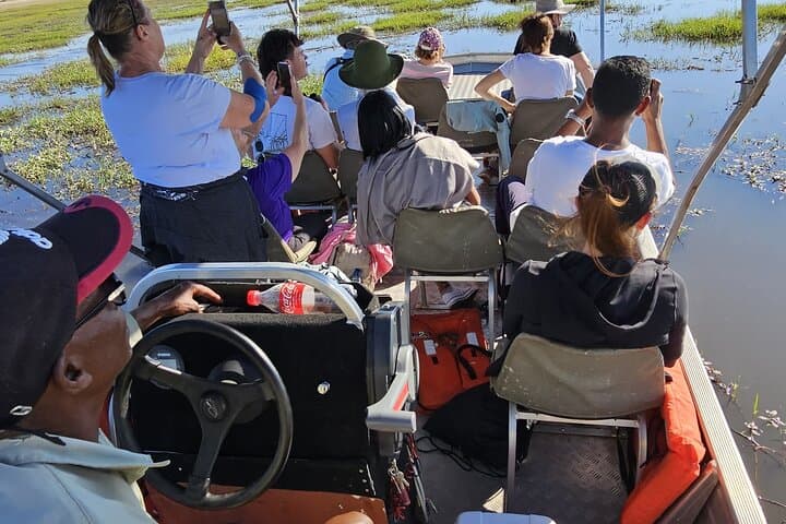 Chobe Day Trip: Game Drive and River Cruise from Kasane