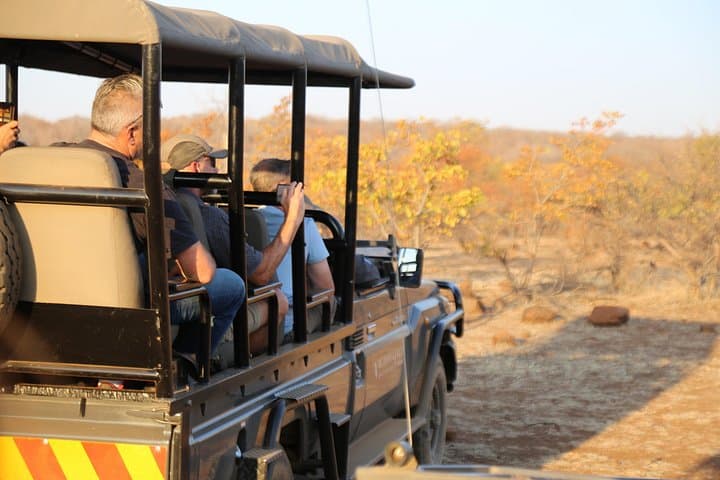 3-Day Hwange National Park Safari from Victoria Falls — Full-Board Game Drives & Lodge Stay