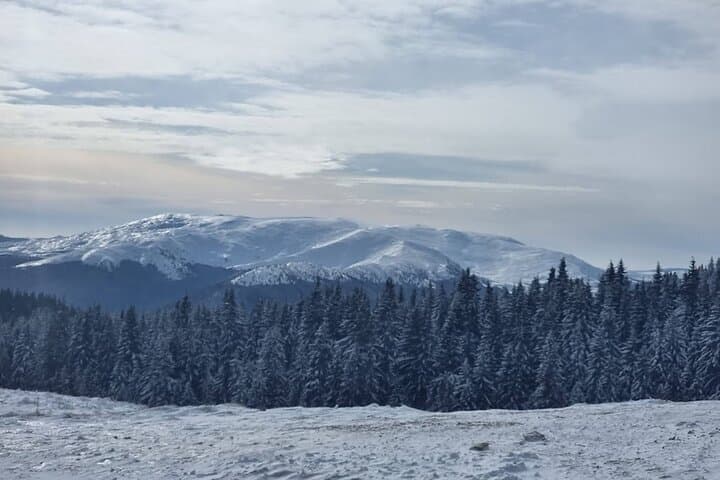 Bucegi Caves, Gorges & Archery Day Tour from Sinaia photo 2