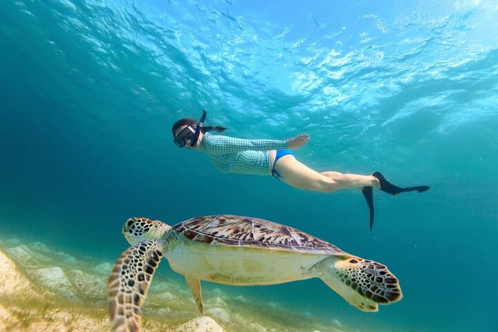 Waikiki Turtle Canyon Snorkeling — Sea Turtles, Kayaks & Sea Scooters photo 1