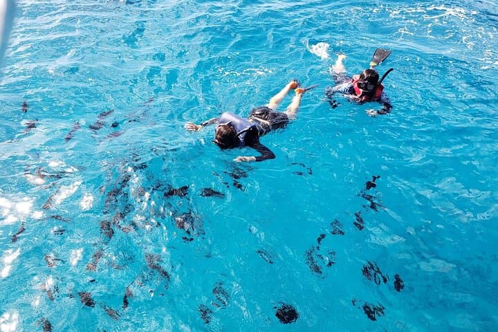 Waikiki Turtle Canyon Snorkeling — Sea Turtles, Kayaks & Sea Scooters photo 2