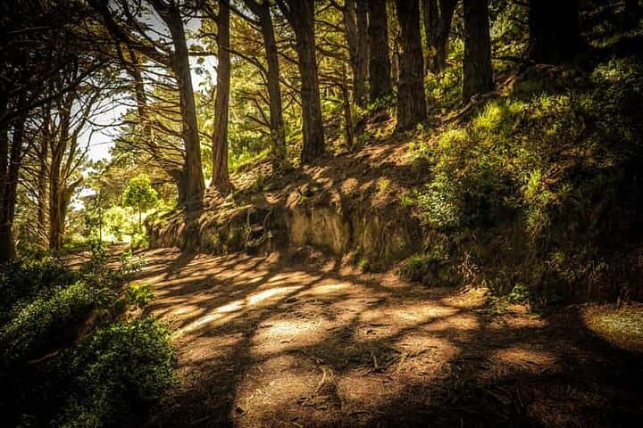 Wellington Private Full-Day Highlights Tour — Beehive, Cable Car & Mt Victoria photo 3