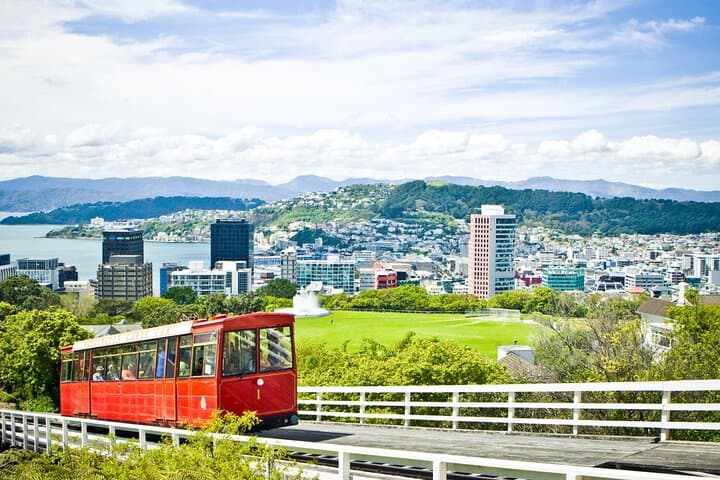 Wellington Private Full-Day Highlights Tour — Beehive, Cable Car & Mt Victoria photo 5