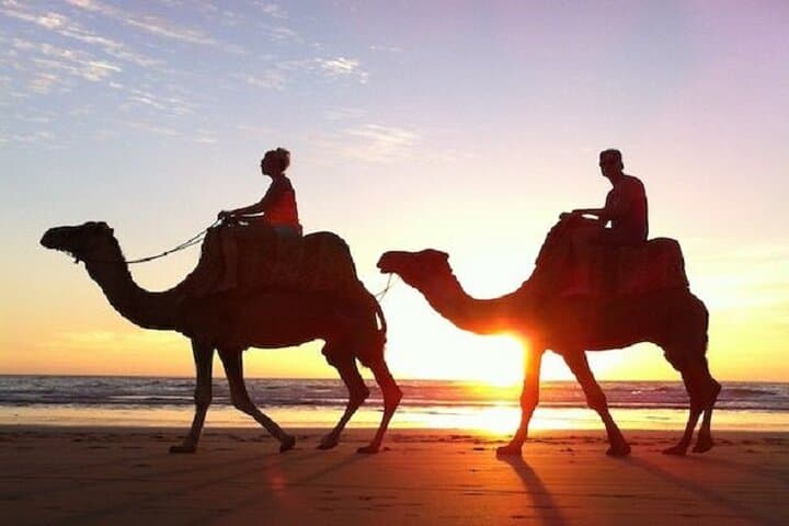 Sunset Camel Trek & Barbecue Dinner near Agadir: Evening in the Desert photo 3