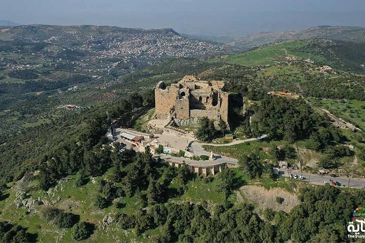 Jerash and Ajloun Castle: Full-Day History Tour from Amman photo 2