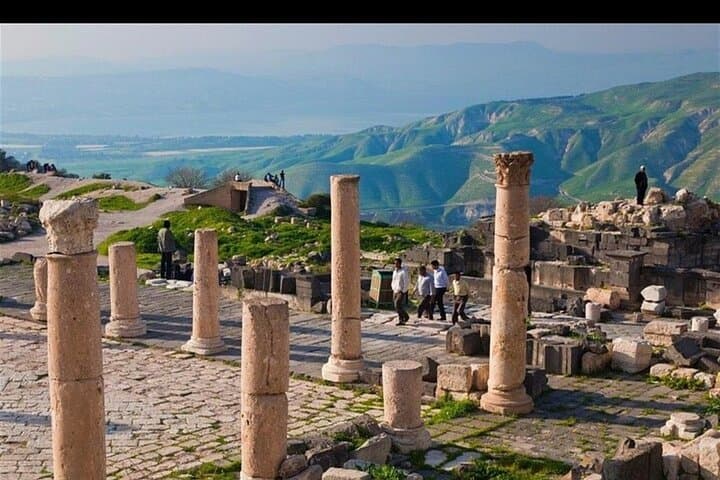 Jerash and Ajloun Castle: Full-Day History Tour from Amman photo 3