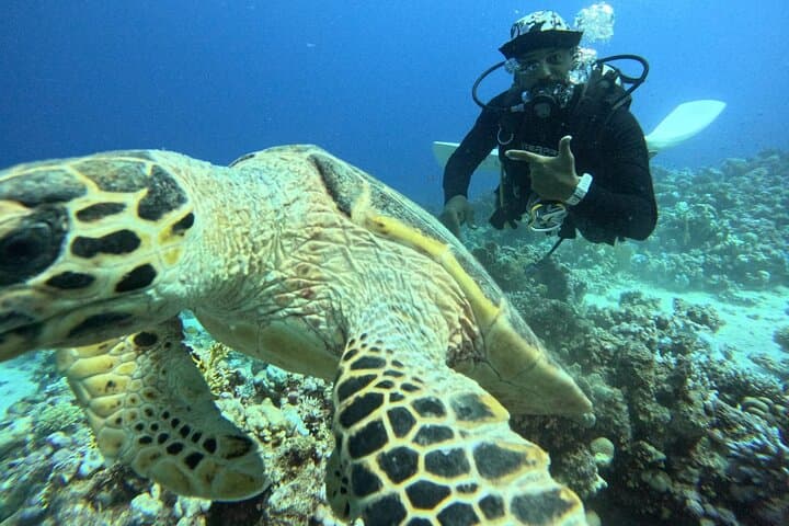 Hurghada Diving Adventure — One-Day Two-Dive Red Sea Boat Trip photo 6