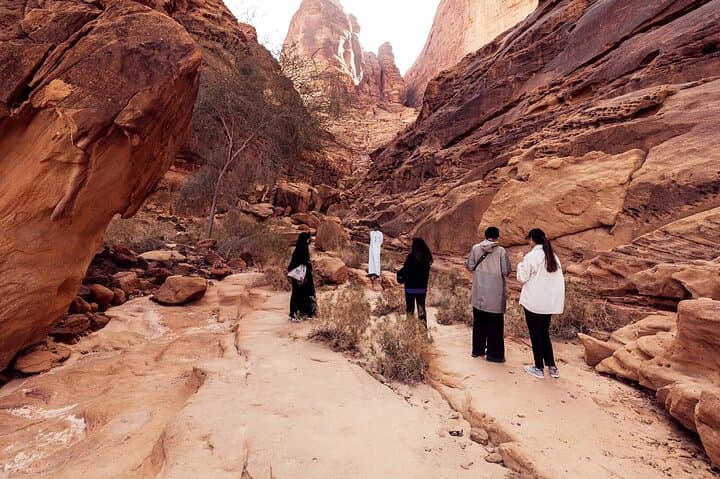 Explore Dadan and Jabal Ikmah: Private Vintage Land Rover Tour in AlUla photo 3