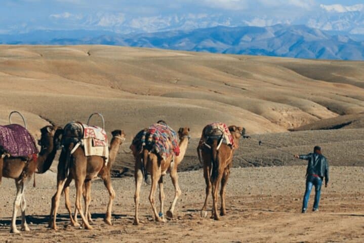 Agafay Desert Camel Trek and Berber Lunch — Morning Escape from Marrakech photo 5