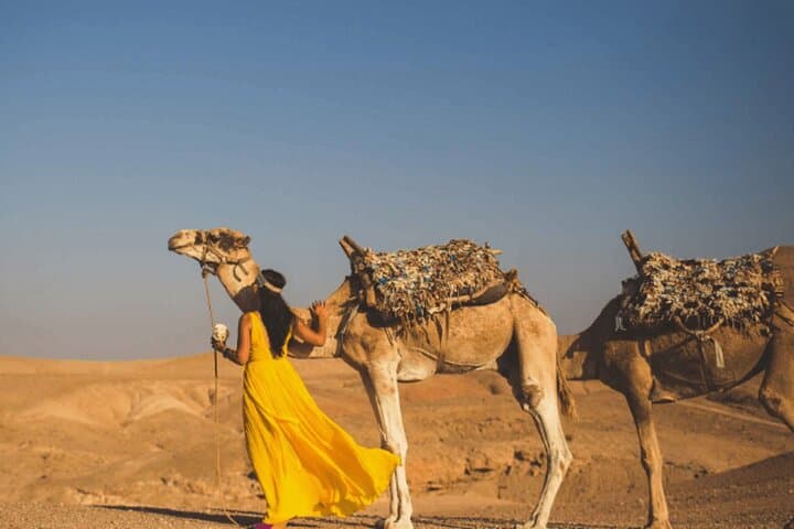 Agafay Desert Camel Trek and Berber Lunch — Morning Escape from Marrakech photo 3
