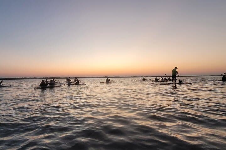 Cocoa Beach Comb Jelly Bioluminescence Clear Kayak Glow Tour photo 2