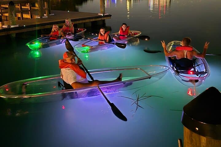 Cocoa Beach Comb Jelly Bioluminescence Clear Kayak Glow Tour photo 4