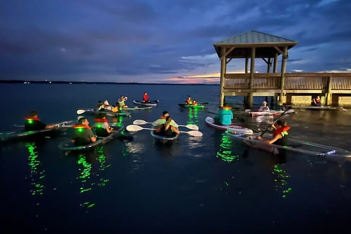 Cocoa Beach Comb Jelly Bioluminescence Clear Kayak Glow Tour photo 6