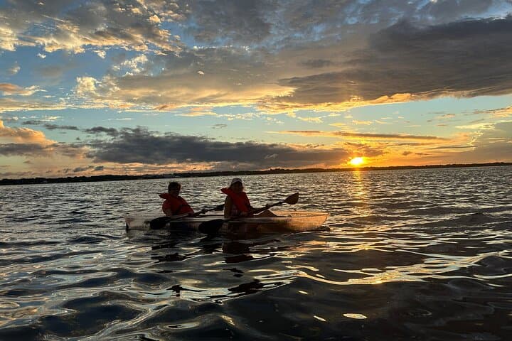 Cocoa Beach Comb Jelly Bioluminescence Clear Kayak Glow Tour photo 3