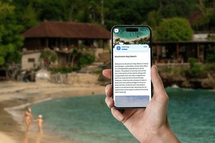 Self-Guided Nusa Lembongan Tour: Beaches, Cliffs & Mangroves at Your Pace photo 4