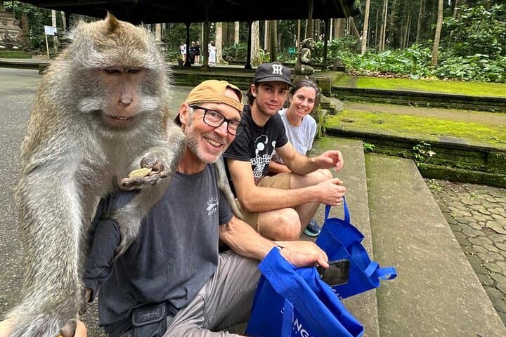 Ubud Full-Day Tour: Goa Gajah, Monkey Forest, Tegalalang & Bali Swing Experience photo 3