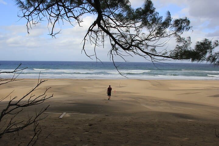 Safari to Surf at iSimangaliso: Half-Day Cape Vidal Adventure
