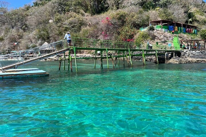Private Snorkel Tour to the Coral Islands of Guayabitos, Nayarit photo 2