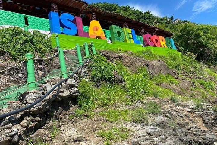 Private Snorkel Tour to the Coral Islands of Guayabitos, Nayarit photo 3
