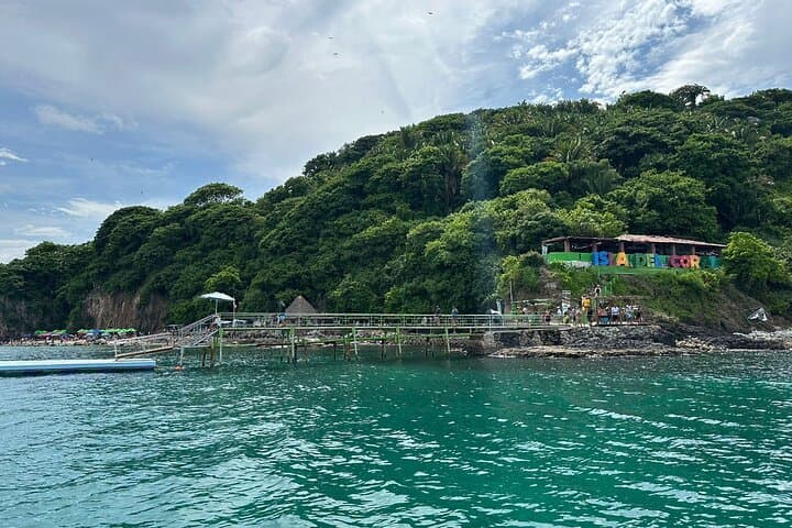 Private Snorkel Tour to the Coral Islands of Guayabitos, Nayarit photo 5