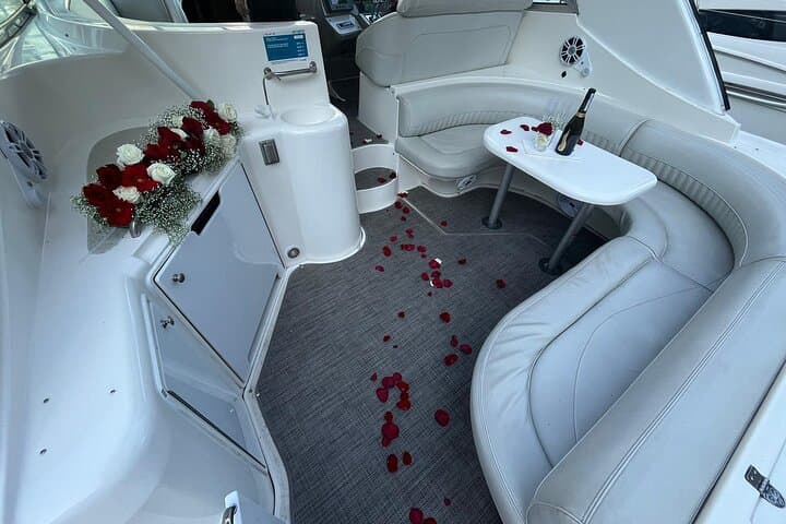 Toronto Luxury Prosecco Yacht Cruise — 90-Minute Harbour Sightseeing photo 6