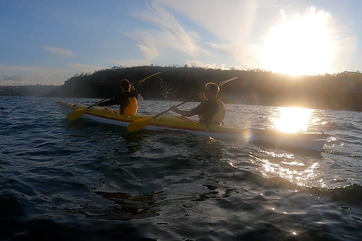 Middle Harbour Sundowner: Guided Sunset Sea Kayak in Sydney photo 3
