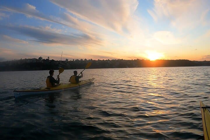 Middle Harbour Sundowner: Guided Sunset Sea Kayak in Sydney photo 6