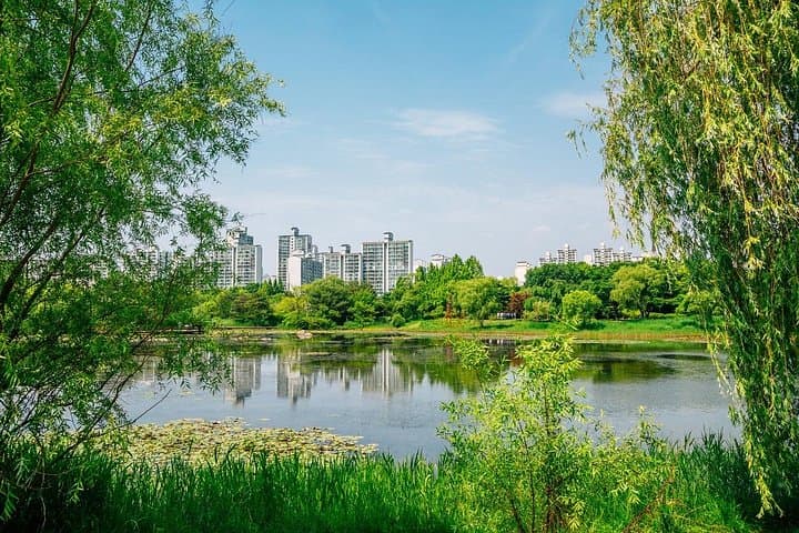 Goyang-si Full-Day Private Tour: Ilsan Lake Park, Hyundai Motorstudio & Aqua Planet photo 1