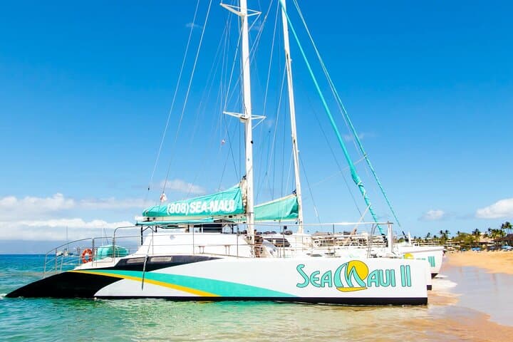 Kaanapali Mala Xpress Snorkel: 2.5-Hour Turtle and Coral Cruise photo 6