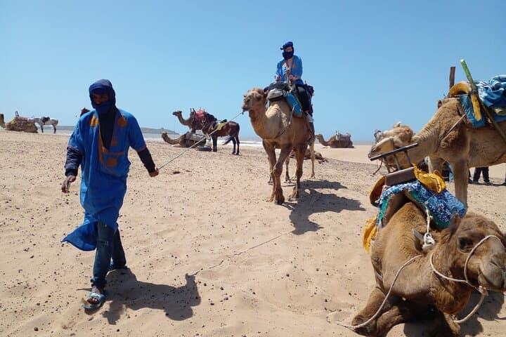 Essaouira Quad & Dromadery: 2-Hour Dunes and Beach Adventure photo 2