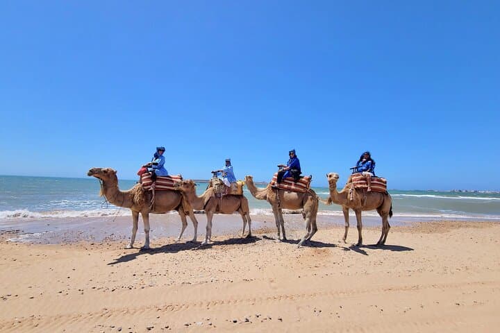 Essaouira Quad & Dromadery: 2-Hour Dunes and Beach Adventure photo 5