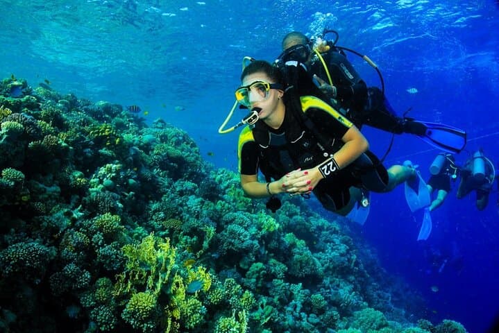 Marsa Mubarak Intro Dive & Snorkeling — Full-Day Boat Trip from Marsa Alam