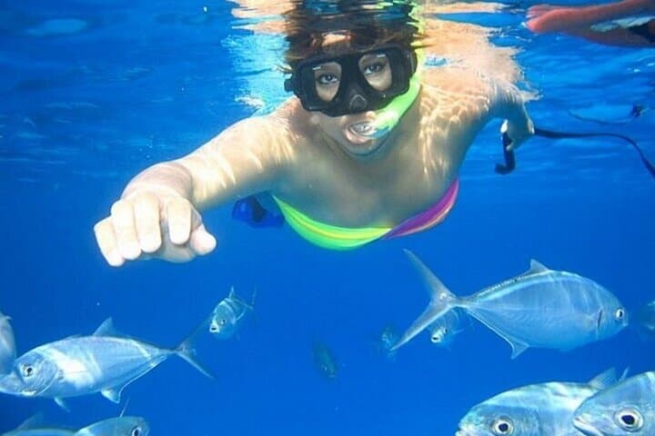 Swim with Wild Dolphins at Marsa Alam: Full-Day Red Sea Boat Trip & Snorkeling photo 5