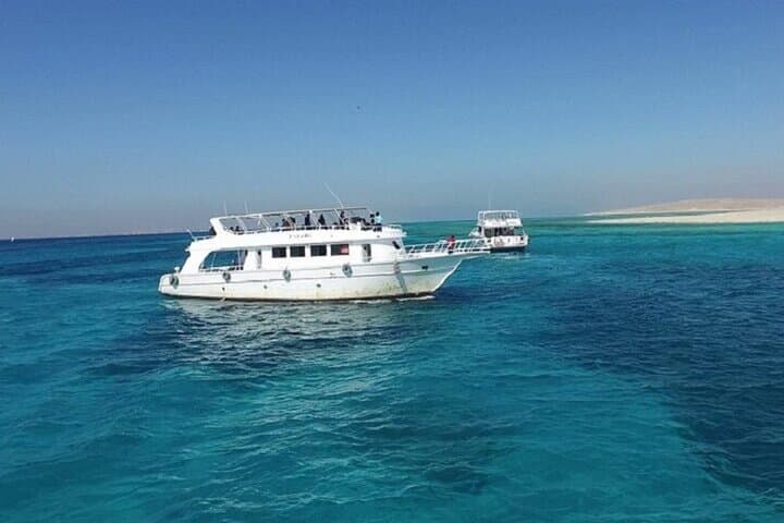 Swim with Wild Dolphins at Marsa Alam: Full-Day Red Sea Boat Trip & Snorkeling photo 3