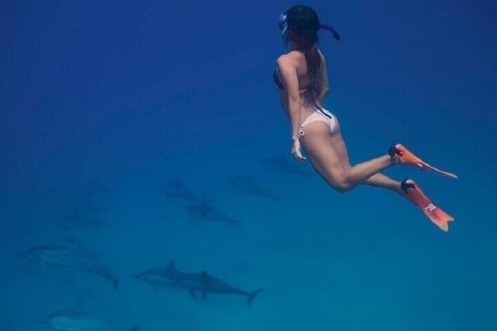 Swim with Wild Dolphins at Marsa Alam: Full-Day Red Sea Boat Trip & Snorkeling photo 6