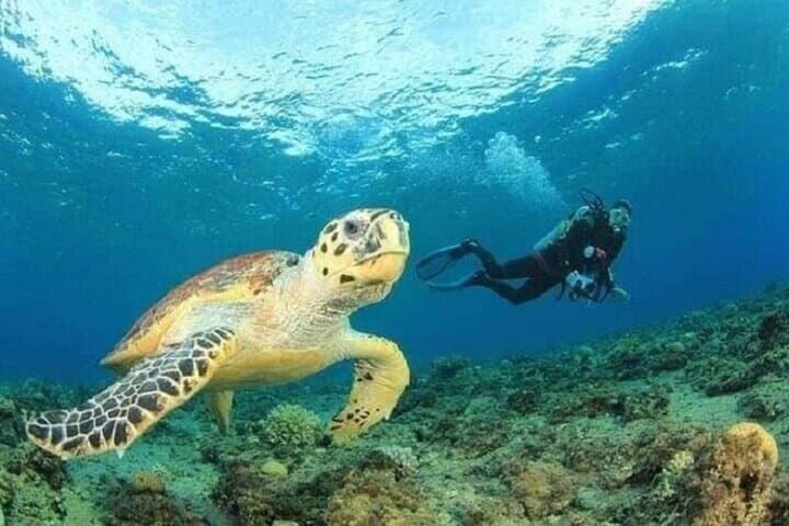 Full-Day Snorkel to Hamata & Qulaan Islands from Marsa Alam photo 6