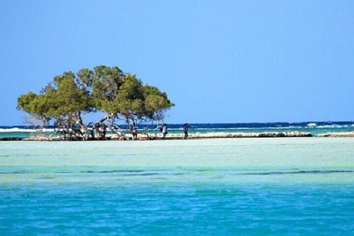 Full-Day Snorkel to Hamata & Qulaan Islands from Marsa Alam photo 2