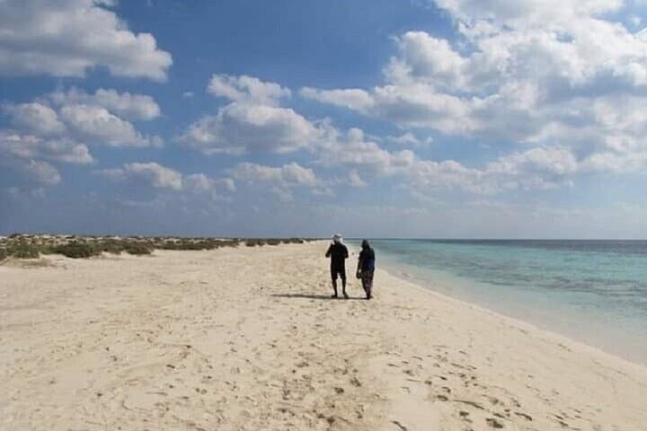 Full-Day Snorkel to Hamata & Qulaan Islands from Marsa Alam