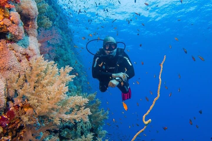 Two Red Sea Boat Dives from Hurghada — Full-Day Trip for Certified Divers