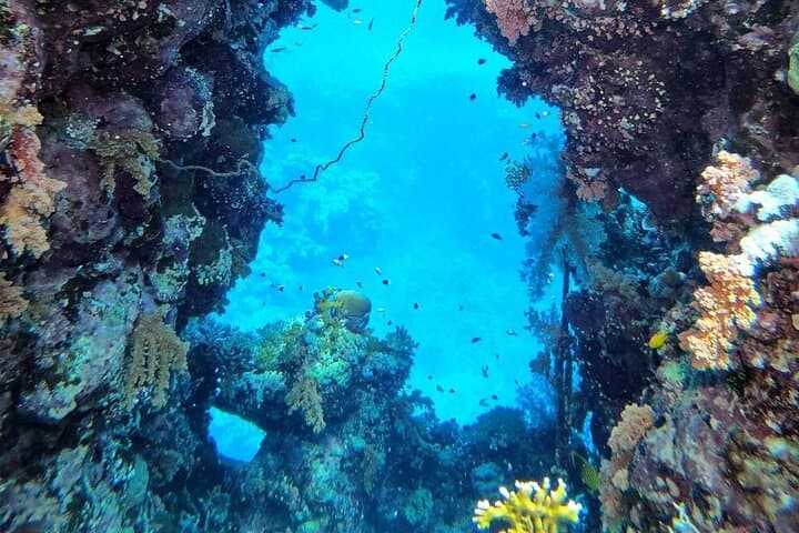 Two Red Sea Boat Dives from Hurghada — Full-Day Trip for Certified Divers photo 6