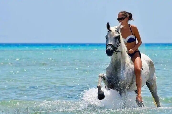 Horseback Ride Along Sharm El-Sheikh Beach and Sinai Dunes photo 4