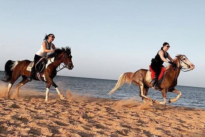 Horseback Ride Along Sharm El-Sheikh Beach and Sinai Dunes photo 3