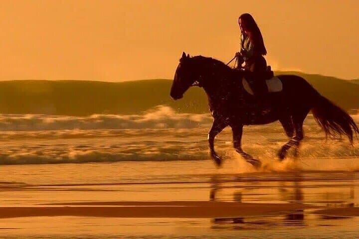 Horseback Ride Along Sharm El-Sheikh Beach and Sinai Dunes