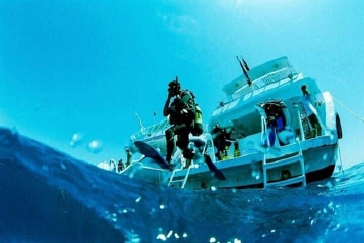 Beginner Scuba Diving Boat Trip in Marsa Alam — 2 Dives with Lunch on the Red Sea photo 2
