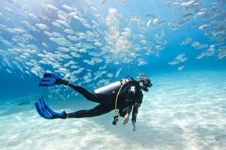 Beginner Scuba Diving Boat Trip in Marsa Alam — 2 Dives with Lunch on the Red Sea photo 3
