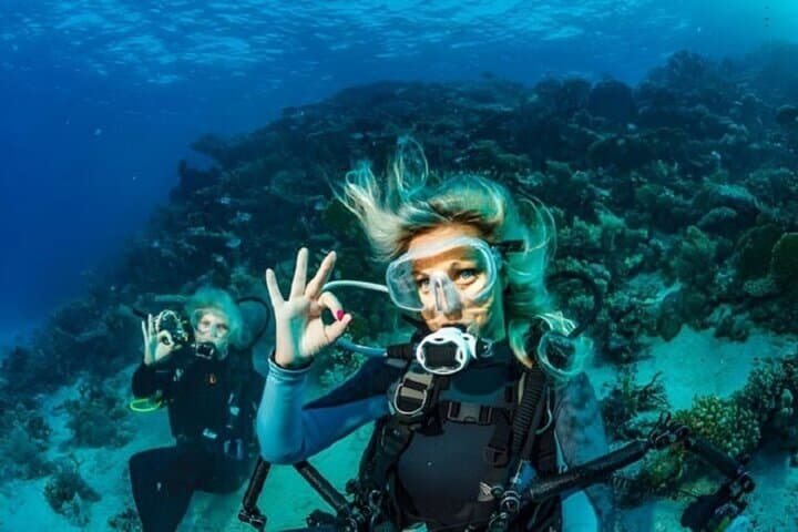 Marsa Alam PADI Advanced Open Water Course: 2-Day Boat Dives & Certification photo 3