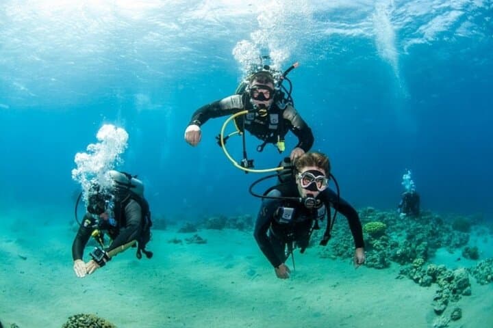 Marsa Alam PADI Advanced Open Water Course: 2-Day Boat Dives & Certification photo 4