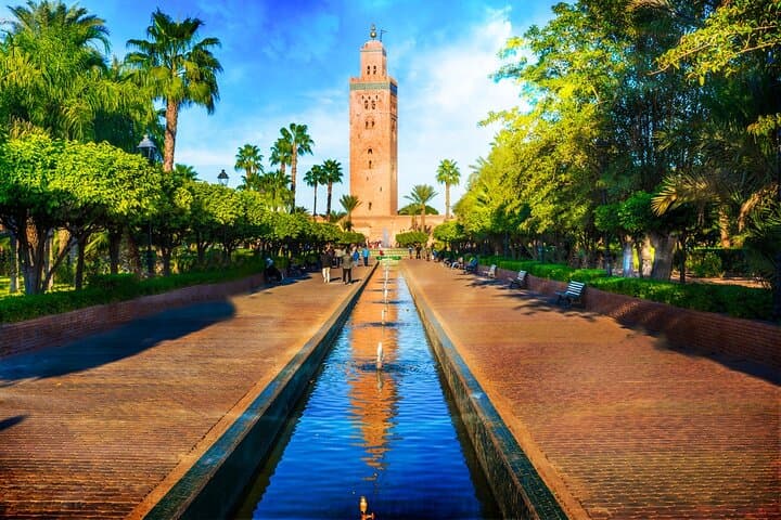 Casablanca to Marrakech Day Trip with Camel Ride in the Palmeraie
