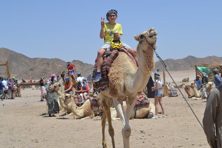 Marsa Alam Super Safari: ATV Desert Ride, Sunset & Bedouin Camel Experience photo 4